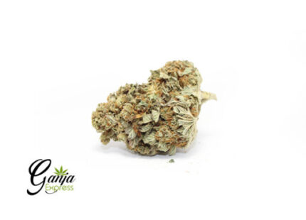 House Indica #4 (Bulk)