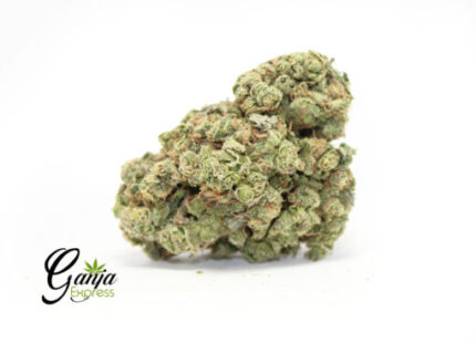 Cherry Lollipop (Bulk)