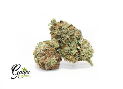 House Orange Diesel (Bulk)