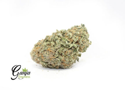 House Purple Magic (Bulk)