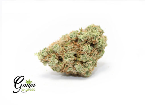 house-sweet-sativa-510x368-1.jpg