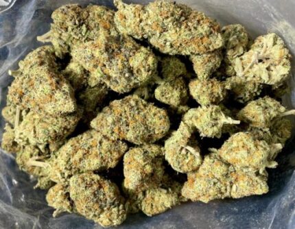 Budget $89 Oz – Jack Herer