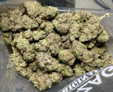 Budget $86 Oz – Key Lime Pie