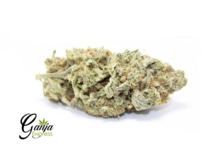 Lemon Candycane (Bulk)