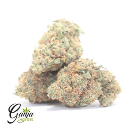 $71 Oz – Moby Dick