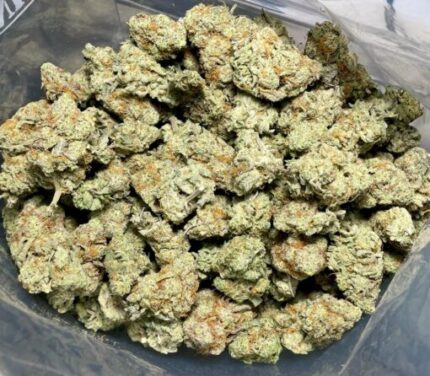 Budget $79 Oz – Mac 1