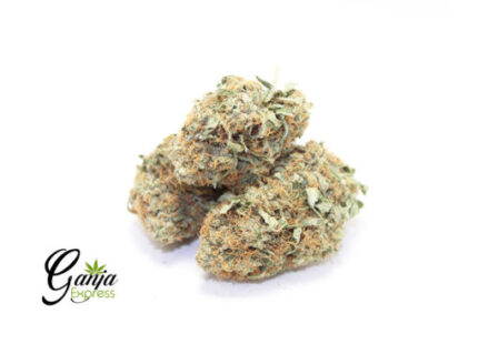 Mango Ice Cream (Bulk)