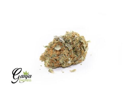 Five Star General Kush (Bulk)