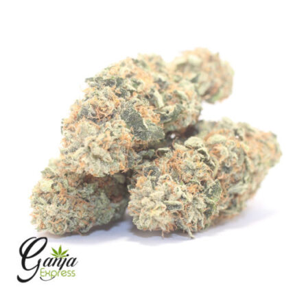 $72 Oz – Miracle Cookies