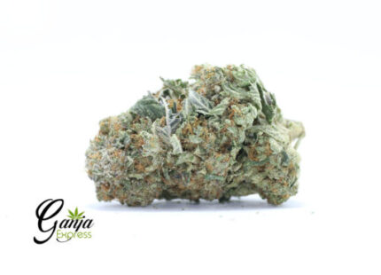 MKU x Gorilla Glue (Bulk)