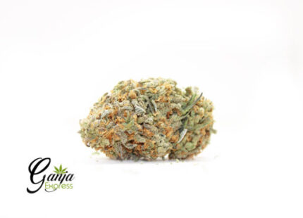 Nuken Cookies (Bulk)