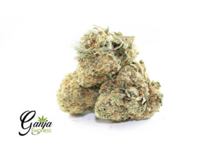 Pina Colada AAA (Bulk)