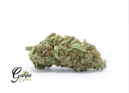 House Pineapple Express (Bulk)