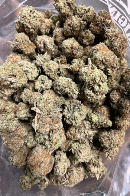 Budget $67 Oz – Punky Lion