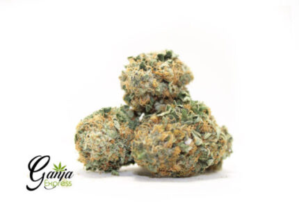 House Pre 98 Bubba (Bulk)