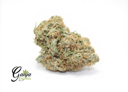 Bubble Gum Kush (Bulk)