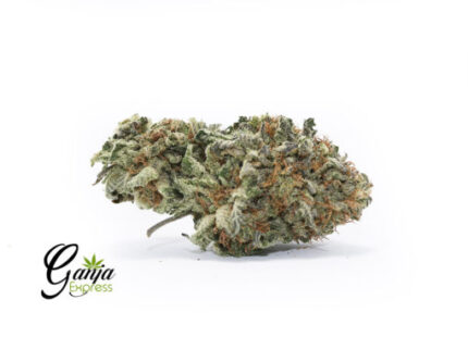 Cadillac Purple (Bulk)