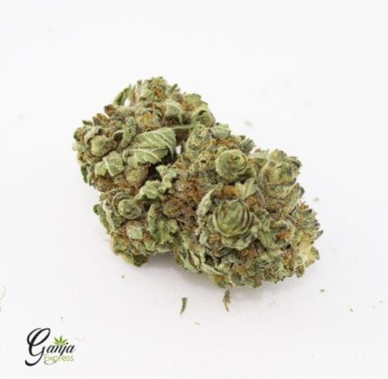 Emily’s Purple Cream (Bulk)