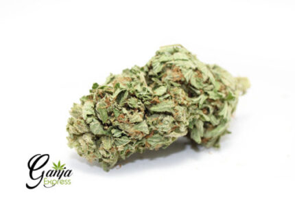 Emily’s Purple Kush (Bulk)