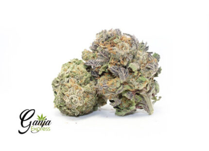 Purple Biscotti (Bulk)