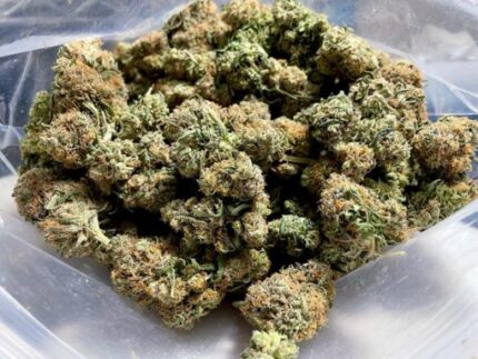 Kootenay Garden’s – Ripped Bubba