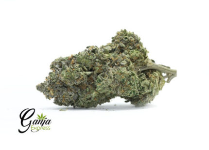 Sophie’s Breath (Bulk)