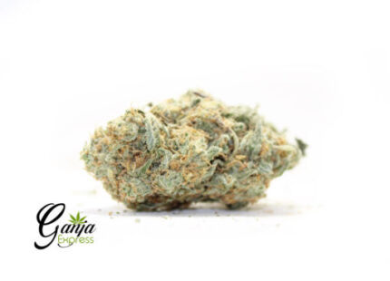 Sugar Cookies AAAA+(Bulk)