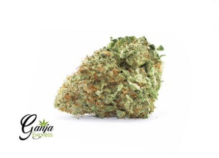 Lemon OG Haze (Bulk)