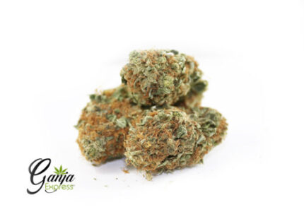 Violator Kush #2 (Bulk)