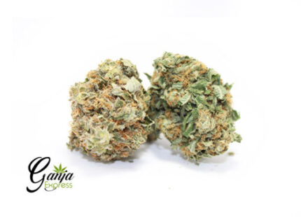 VZ Farm’s Death Bubba (Bulk)