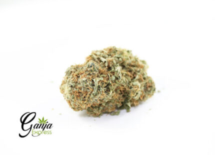 House White Magic (Bulk)