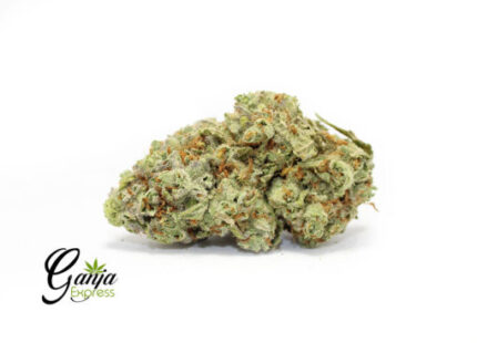 Emily’s Girl Scout Cookies (Bulk)