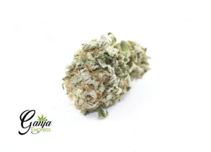 White Bubba OG (Bulk)