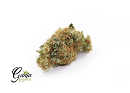 White OG Kush (Bulk)