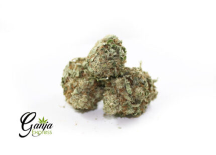 Purple Punch AAAA+ (Bulk)