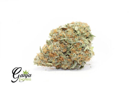 White Rhino x Nuken (Bulk)