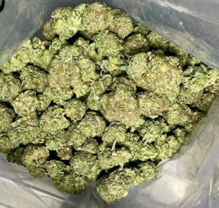Budget $83 Oz – Wifi 43