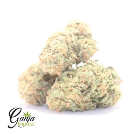 $77 Oz – Zombie Kush