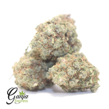 $69 Oz – Zombie Breath