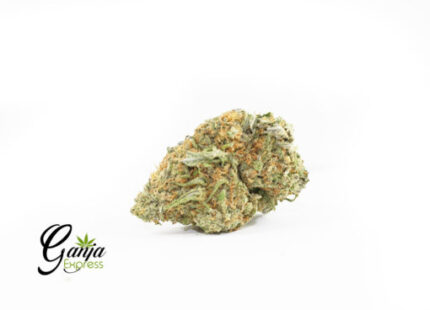 Animal Cookies (Bulk)