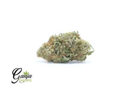 Black Cherry Soda (Bulk)