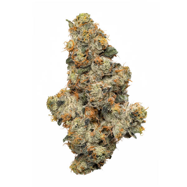 CMC_Website_Products_PBS_Hero_Transparent_2023