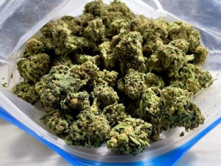 Kootenay Garden’s – Cookie Kush