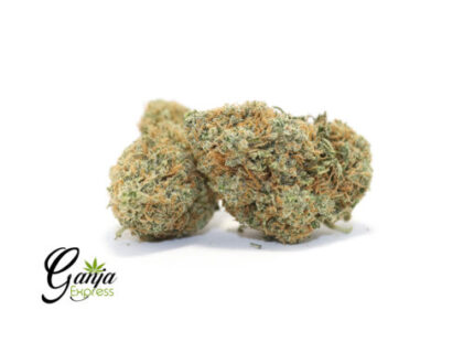 House Green Cheese (Bulk)