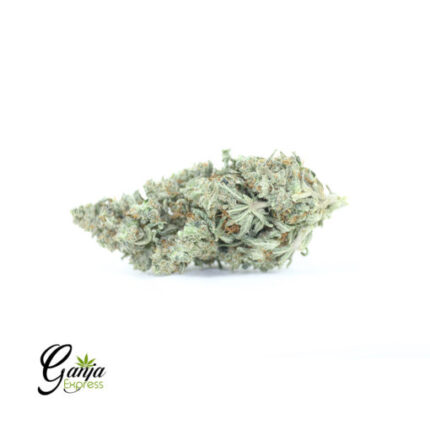 $69 Oz – G-13