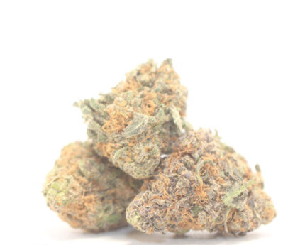 $72 Oz – Gelato 33