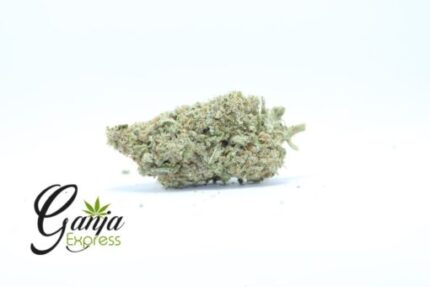 Ghost Train Haze (Bulk)