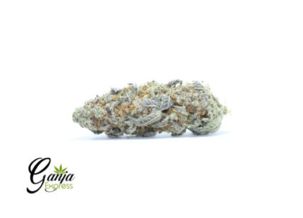 Grape Ape AAAA (Bulk)