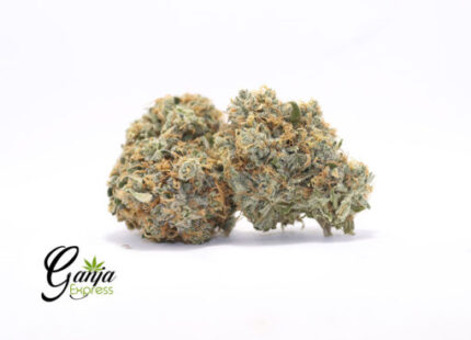 Grease Monkey (Bulk)