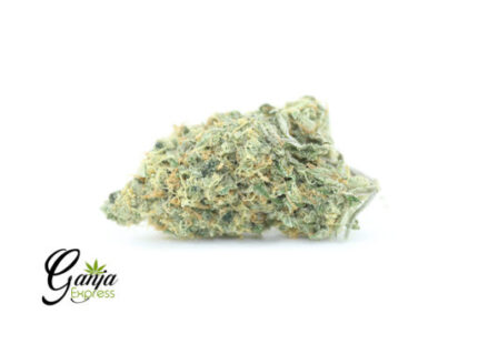 Greenstar Farms Love Potion #1 (Bulk)